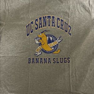 UC Santa Cruz Tee